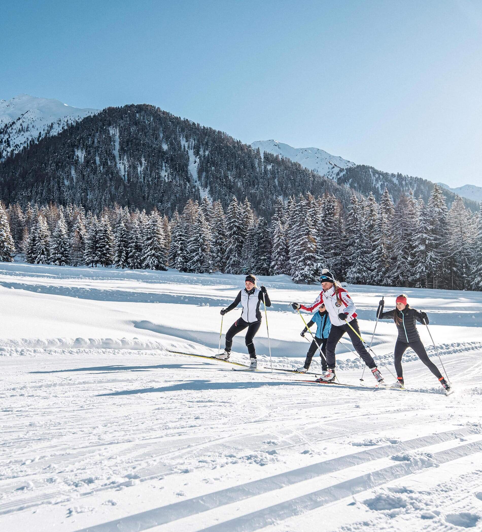 Four people cross-country skiing on a snowy trail with pine trees and mountains in the background. - Ampark