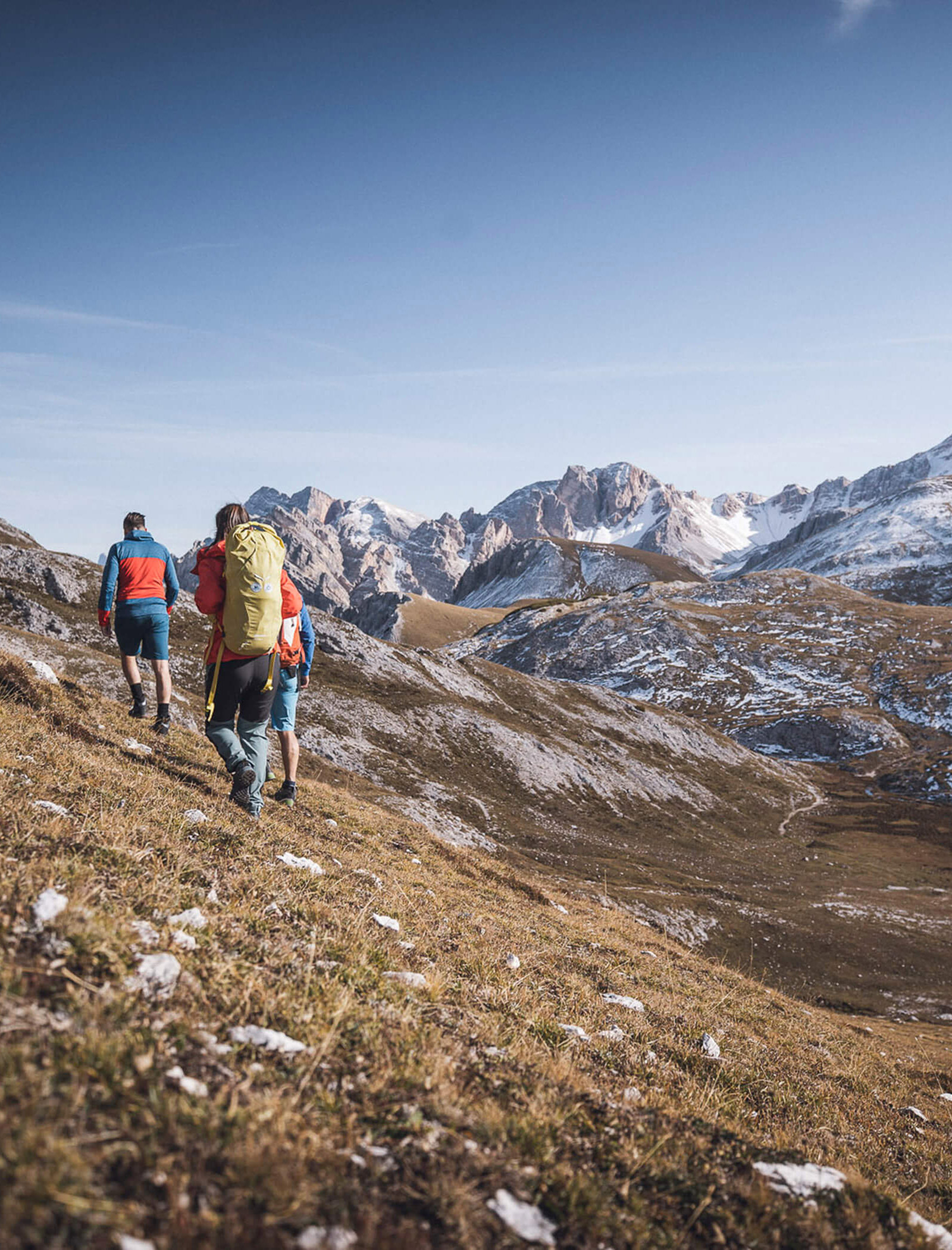 Tre escursionisti con gli zaini in spalla salgono lungo un pendio erboso, con in lontananza le cime innevate. - Ampark