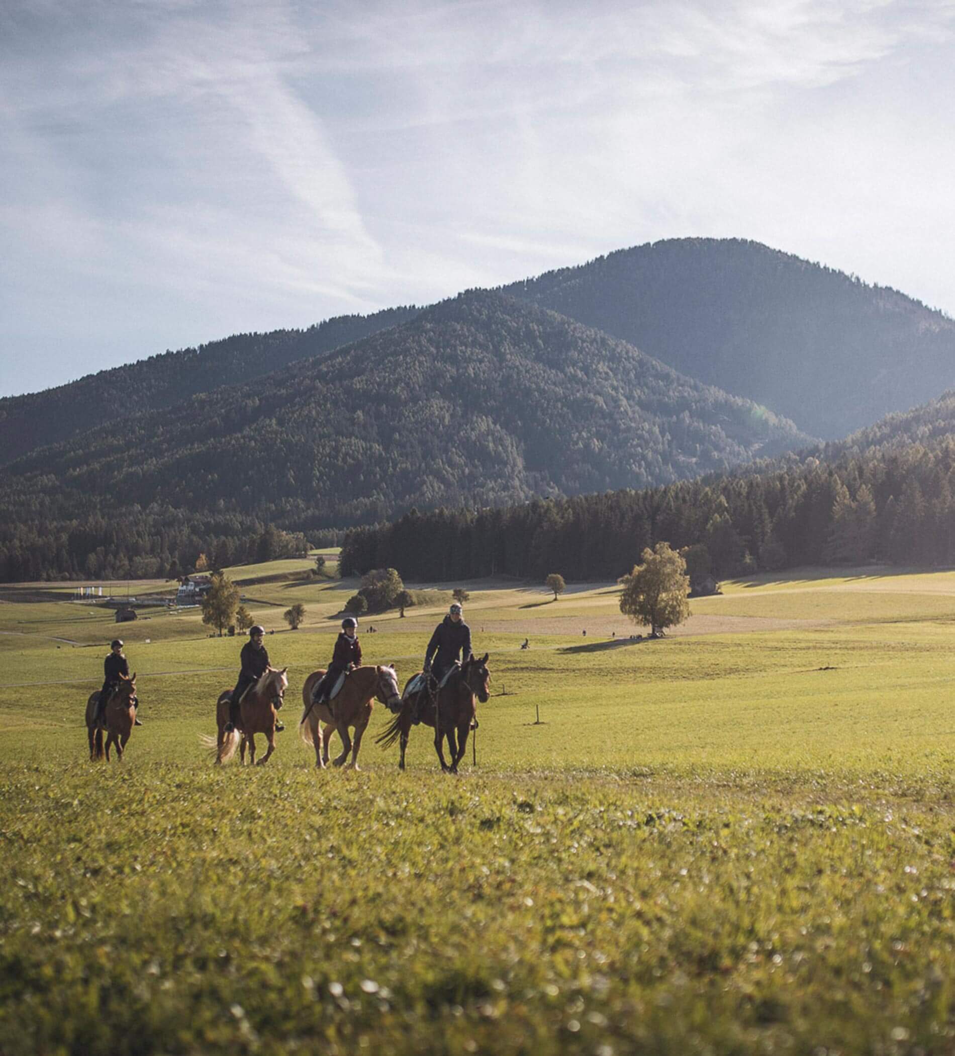 Cinque persone a cavallo in un prato, con montagne e alberi sullo sfondo. - Ampark